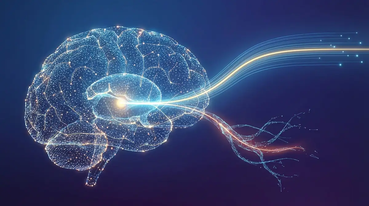 語彙力1300が選ばれる理由と注意点